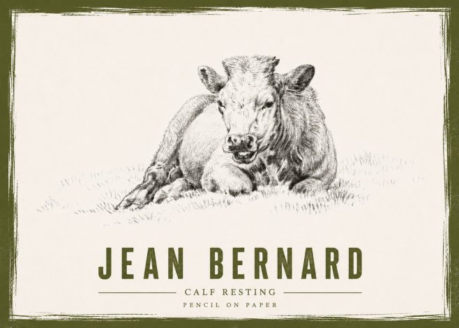 Jean Bernard Calf Resting No4 - Póster