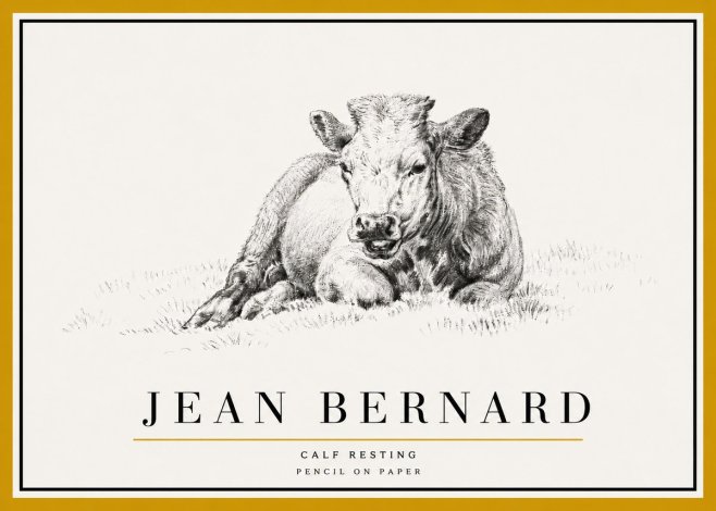 Jean Bernard Calf Resting No5 - Póster