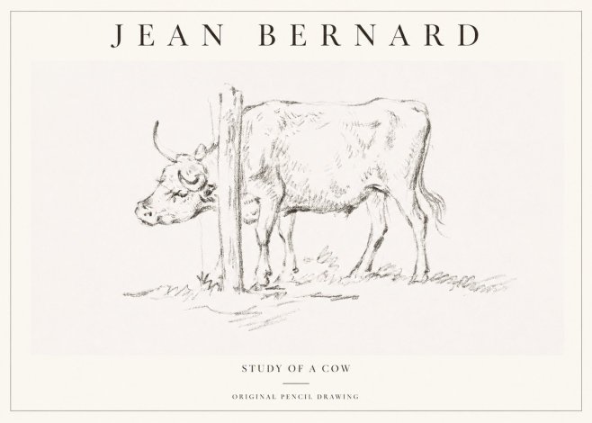 Jean Bernard Study of a Cow VII No1 - Póster