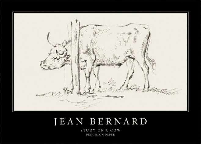 Jean Bernard Study of a Cow VII No4 - Póster