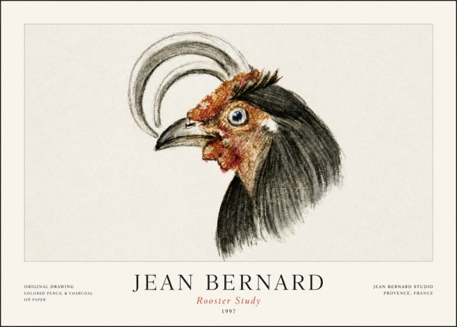 Jean Bernard Rooster Study No1 - Póster