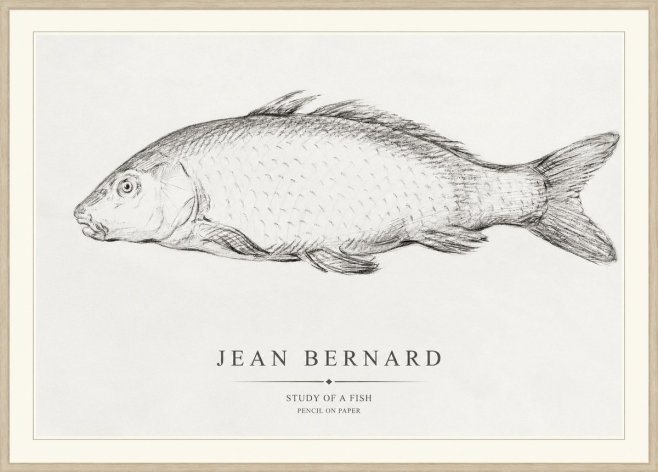 Jean Bernard Study of a Fish III No1 - Póster