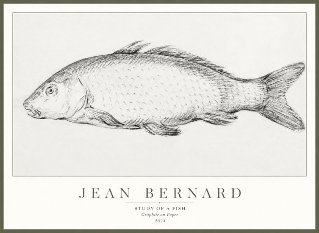 Jean Bernard Study of a Fish III No3 - Póster