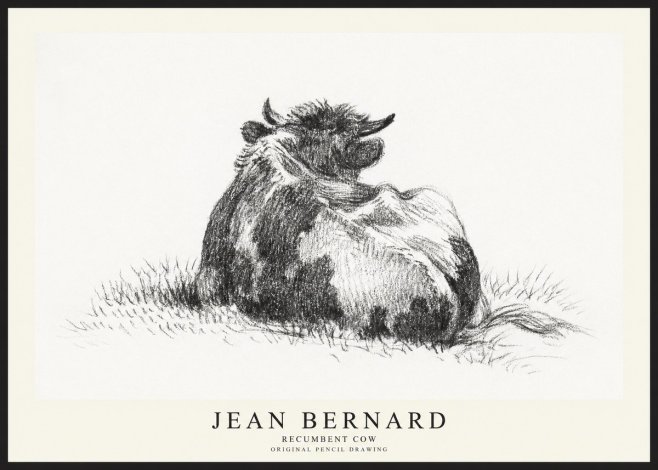 Jean Bernard Resting Highland Cow No3 - Póster