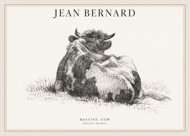 Jean Bernard Resting Highland Cow No6 - Póster
