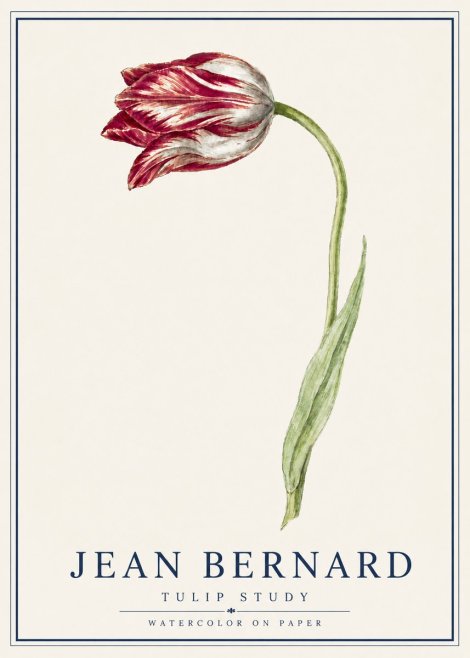 Jean Bernard Tulip Study No5 - Póster