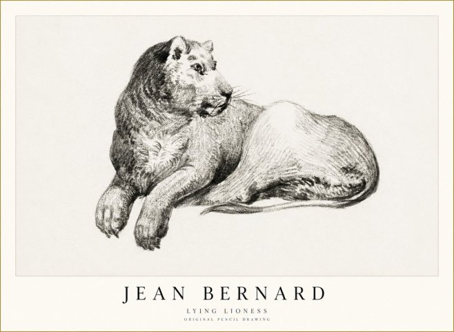 Jean Bernard Lying Lioness No1 - Póster