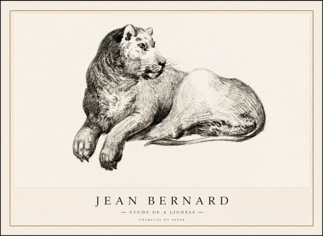 Jean Bernard Lying Lioness No2 - Póster
