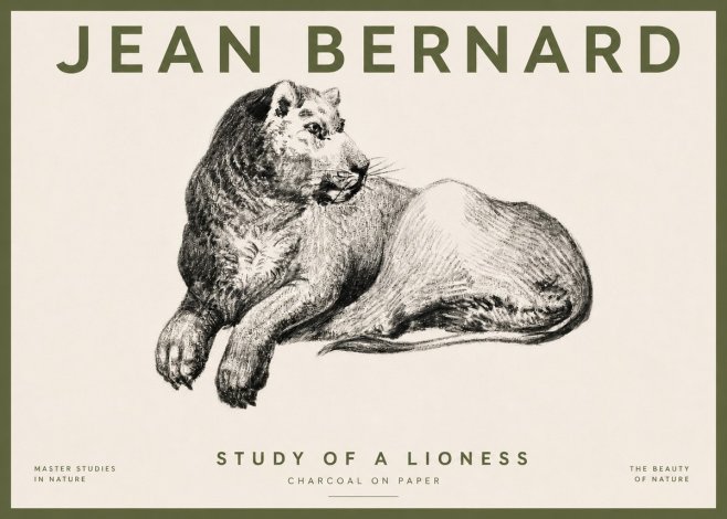 Jean Bernard Lying Lioness No5 - Póster