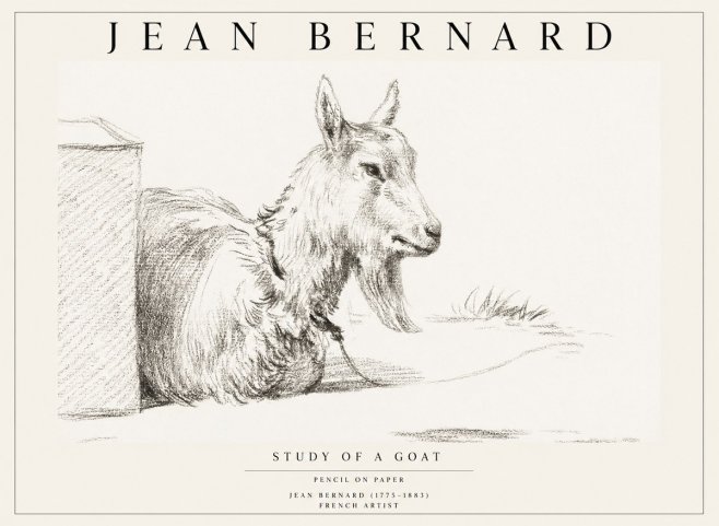 Jean Bernard Study of a Goat IV No1 - Póster