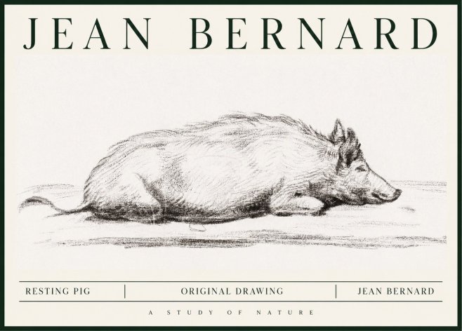 Jean Bernard Resting Pig I No1 - Póster