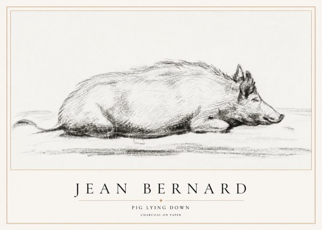 Jean Bernard Resting Pig I No2 - Póster