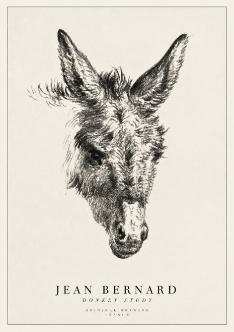 Jean Bernard Donkey Study IV No1 - Póster