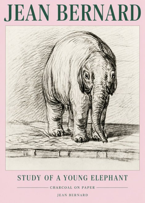 Jean Bernard Young Elephant No5 - Póster