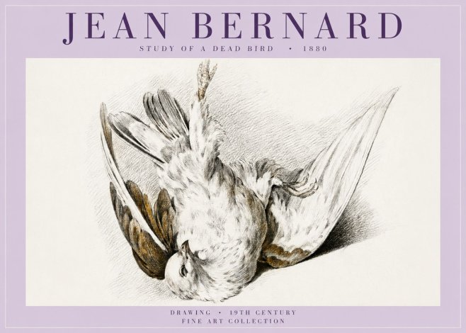 Jean Bernard Study of a Dead Bird No5 - Póster