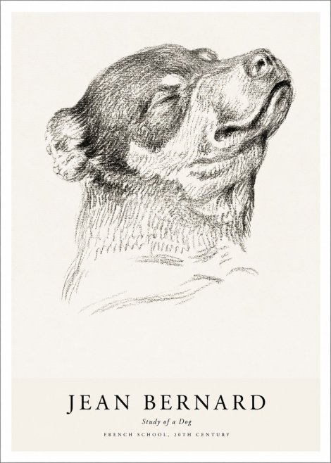 Jean Bernard Study of a Dog III No1 - Póster
