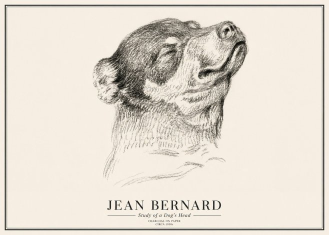 Jean Bernard Study of a Dog III No3 - Póster
