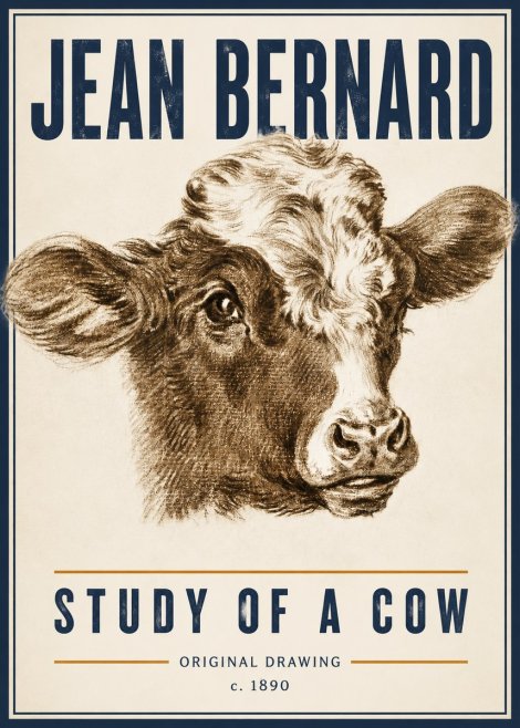 Jean Bernard Study of a Cow VIII No6 - Póster