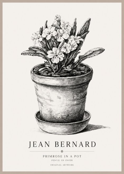 Jean Bernard Potted Primrose No2 - Póster