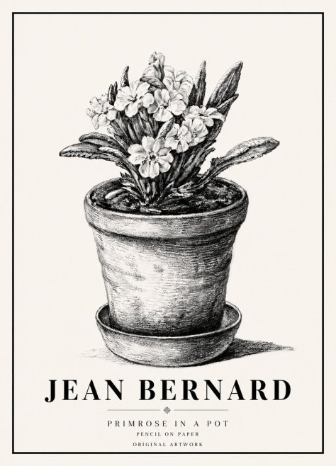 Jean Bernard Potted Primrose No6 - Póster