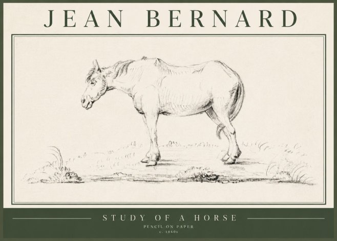 Jean Bernard Study of a Horse IX No5 - Póster