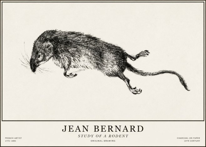 Jean Bernard Study of a Rat II No5 - Póster
