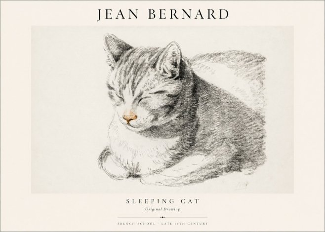 Jean Bernard Sleeping Cat VI No1 - Póster