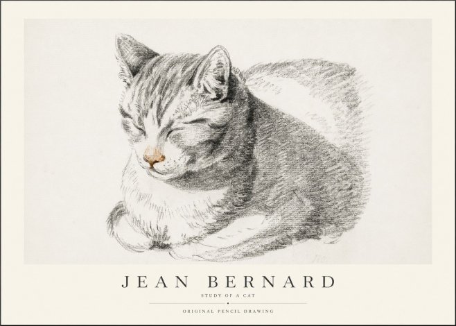 Jean Bernard Sleeping Cat VI No2 - Póster
