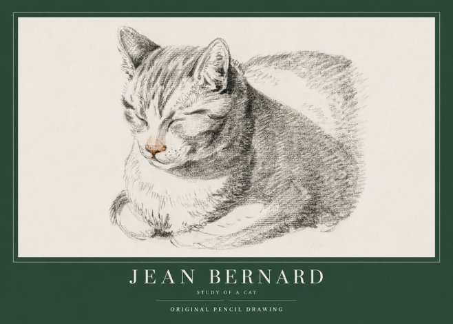 Jean Bernard Sleeping Cat VI No4 - Póster