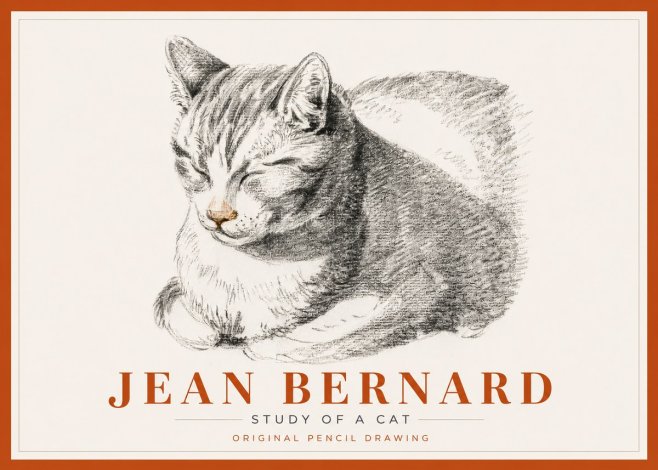 Jean Bernard Sleeping Cat VI No6 - Póster