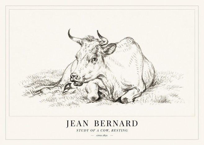 Jean Bernard Study of a Cow, Resting No1 - Póster