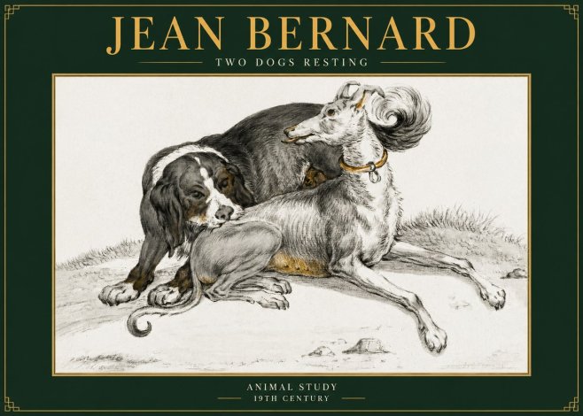 Jean Bernard Two Dogs Resting No5 - Póster