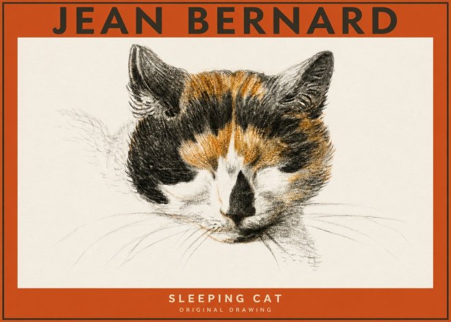 Jean Bernard Cat Study VIII No5 - Póster