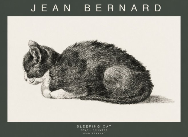 Jean Bernard Sleeping Cat VII No1 - Póster