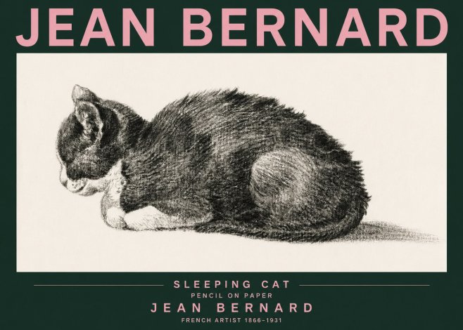 Jean Bernard Sleeping Cat VII No3 - Póster