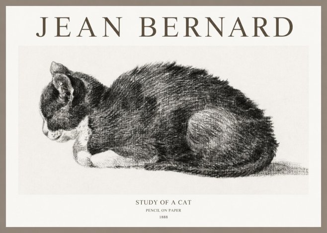 Jean Bernard Sleeping Cat VII No6 - Póster