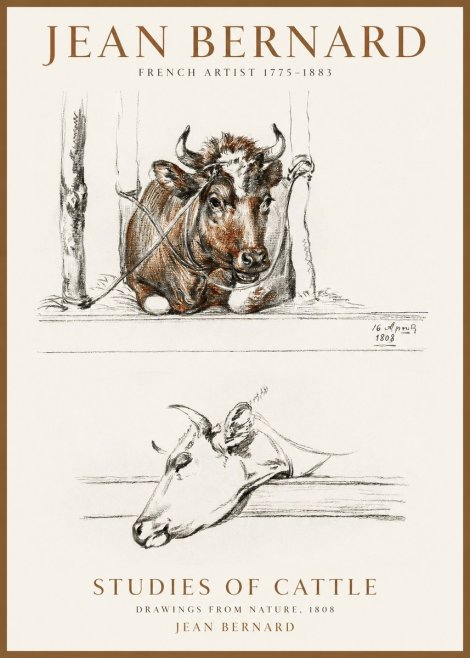 Jean Bernard Studies of Cattle III No1 - Póster