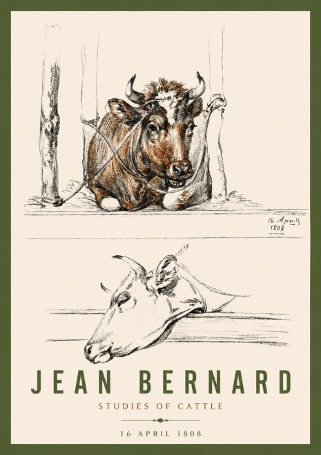 Jean Bernard Studies of Cattle III No4 - Póster