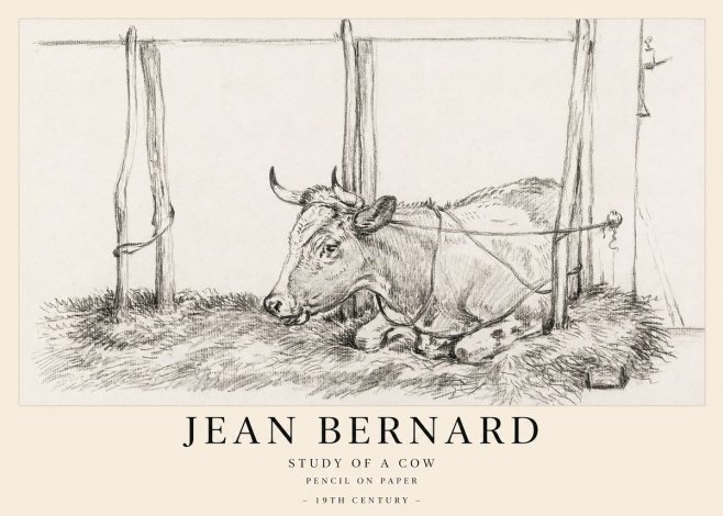 Jean Bernard A Resting Cow No2 - Póster