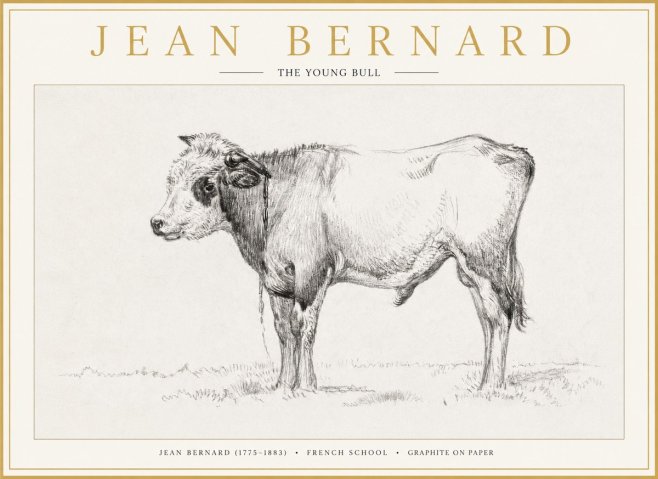 Jean Bernard The Young Bull No1 - Póster