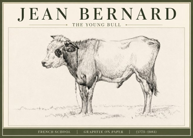 Jean Bernard The Young Bull No3 - Póster