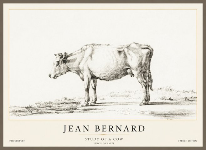 Jean Bernard Study of a Cow XI No1 - Póster