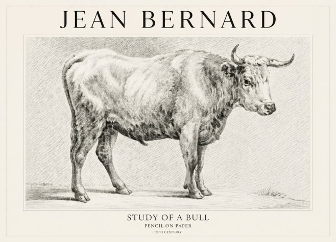 Jean Bernard Study of a Bull IV No1 - Póster