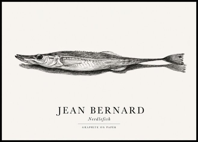 Jean Bernard Needlefish No1 - Póster