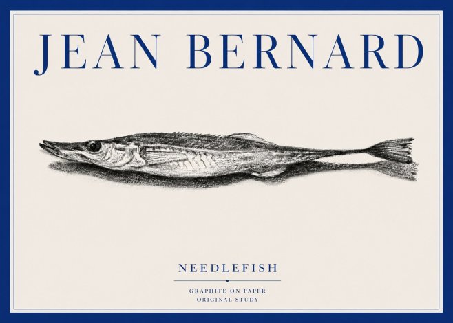 Jean Bernard Needlefish No3 - Póster