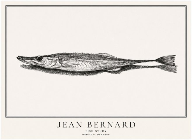 Jean Bernard Needlefish No5 - Póster
