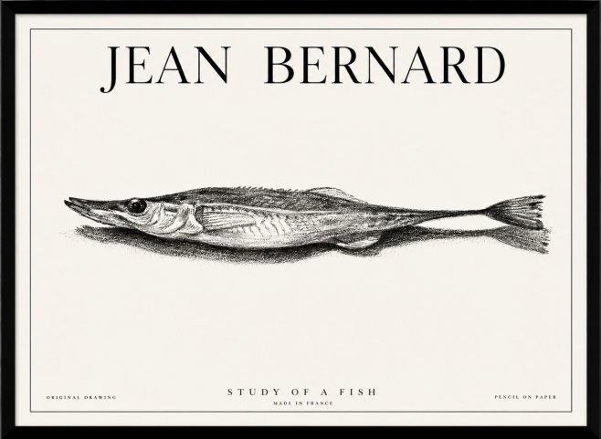 Jean Bernard Needlefish No6 - Póster
