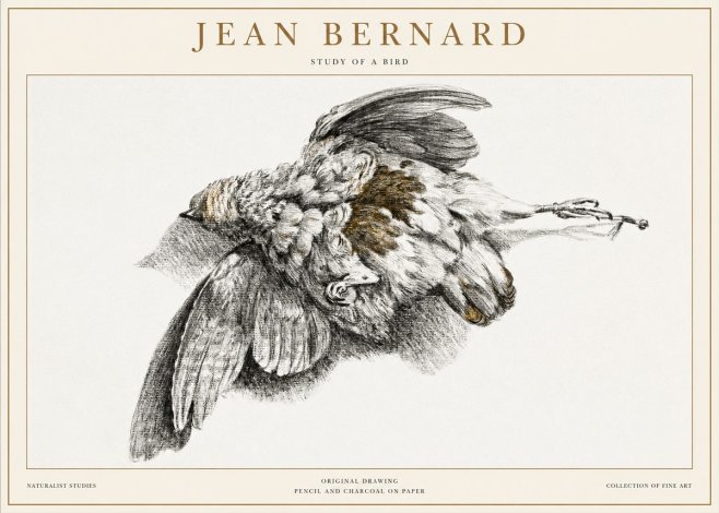 Jean Bernard Study of a Bird III No1 - Póster