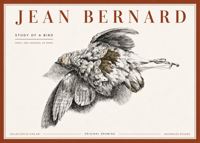 Jean Bernard Study of a Bird III No6 - Póster