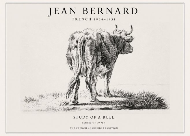 Jean Bernard Study of a Bull V No1 - Póster